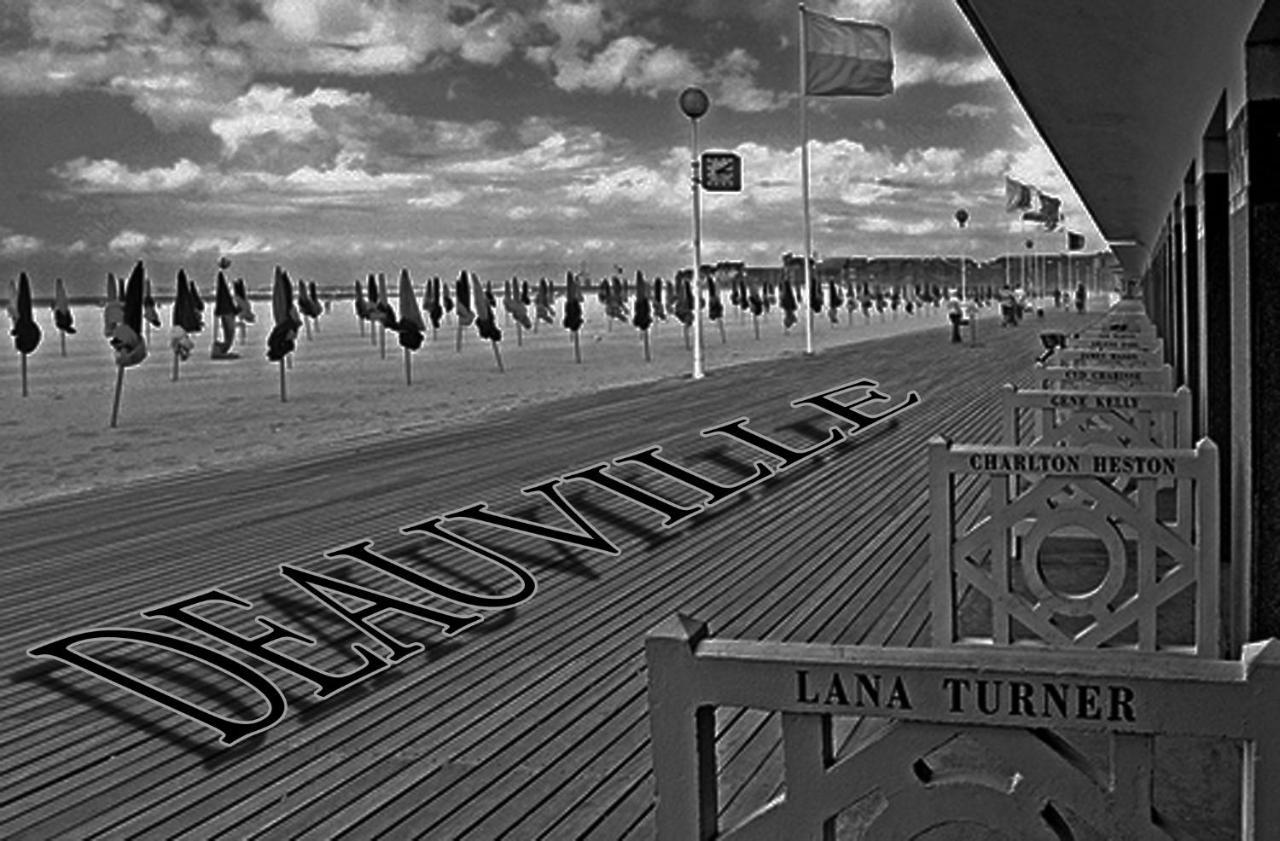 Studio Duplex L'Ecole Buissonniere Trouville-la-Haule Kültér fotó